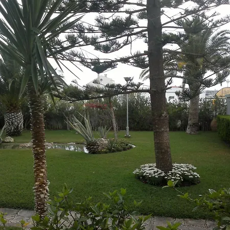 Roca Vinaros