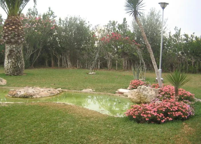 Roca